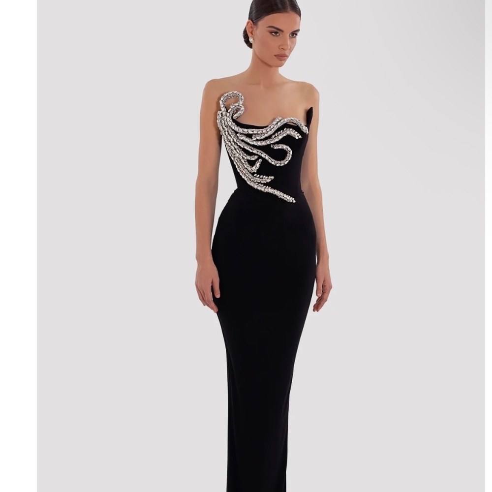 Albina Dyla Black Embroidered Corset Gown – M – Worn Once